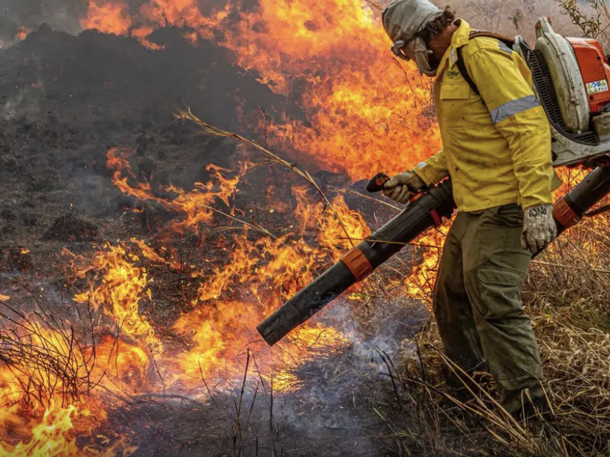 Secas extremas, queimadas e ondas de calor são esperadas. Foto: Maiandi Inzaulgarat/ICMBIO