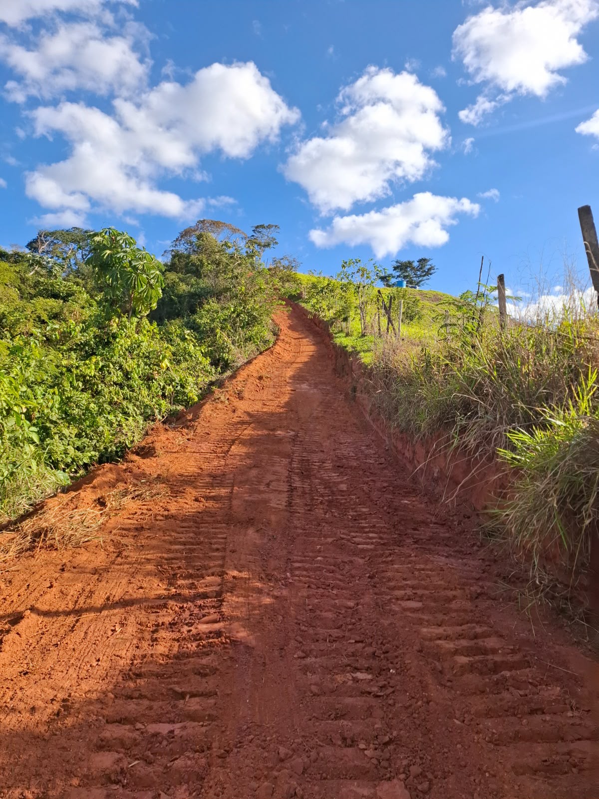 limpeza de aceiros 2 Aceiros abertos pela prefeitura de Ubá. Fotos: PMU