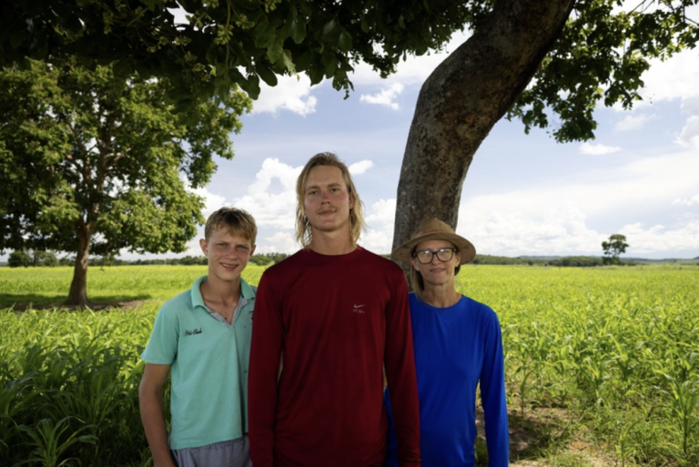 Recuperação de pastagens degradadas do Cerrado faz produtividade de fazendas no MT dar um salto